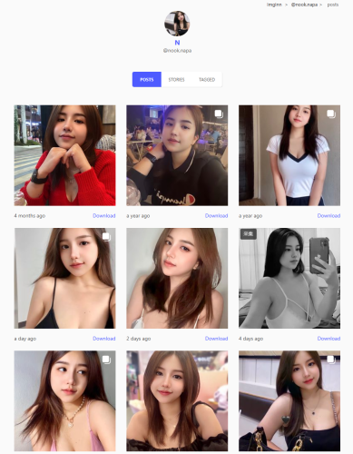 Imginn-一个instagram免翻浏览下载站-青春分享栈