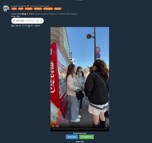国际版TikTok 网页版  国内直连-青春分享栈