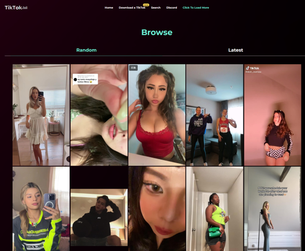 tiktokfail - 一个还不错的TIKTOK网页镜像站-青春分享栈