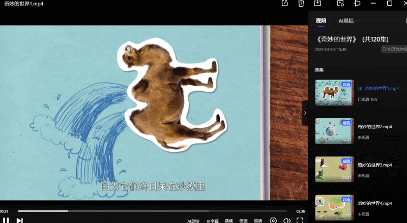 少儿科普知识动画【奇妙的世界】120集【夸克】-青春分享栈