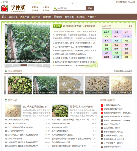 学种菜 | 零基础学种植的知识宝库-青春分享栈