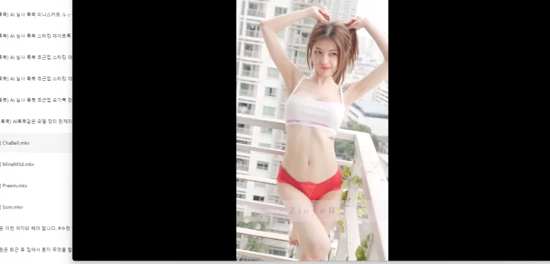 韩国女团热舞合集 [4GB，夸克】-青春分享栈