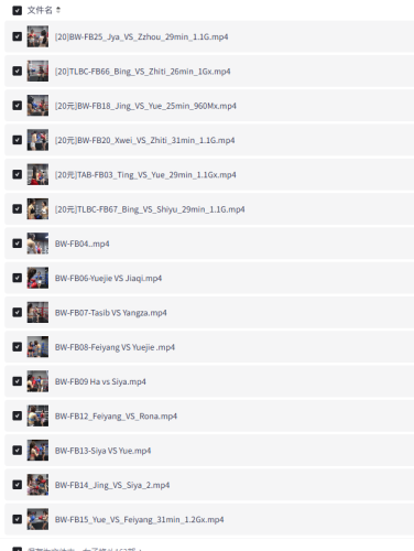 [某鱼购买]女子格斗163部高清视频合集-青春分享栈