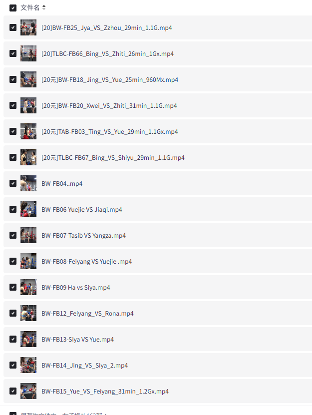 [某鱼购买]女子格斗163部高清视频合集-青春分享栈