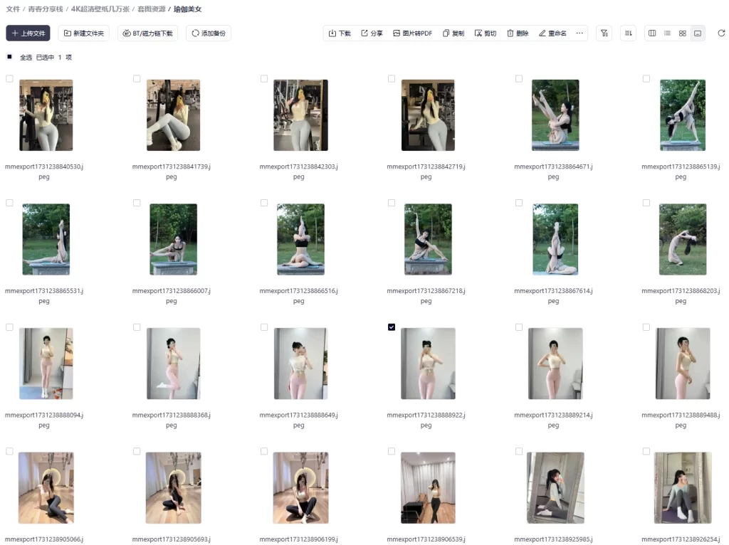 图片[1]-付费4K超清壁纸几万张，全面屏 好看的美女壁纸【156.6GB/夸盘】-青春分享栈