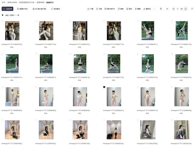 付费4K超清壁纸几万张，全面屏 好看的美女壁纸【156.6GB/夸盘】-青春分享栈